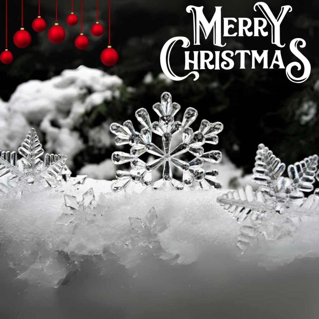 Merry-Christmas-Wish-of-Christmas-looks-pretty-in-this-design