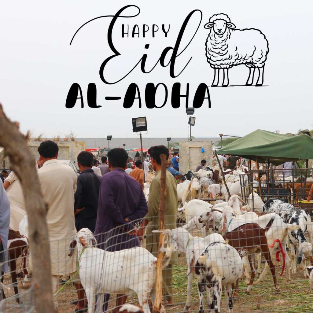 Eid-al-Adha-Mubarak-People-who-have-gone-to-sacrifice-go-to-the-markets-to-see-the-animals