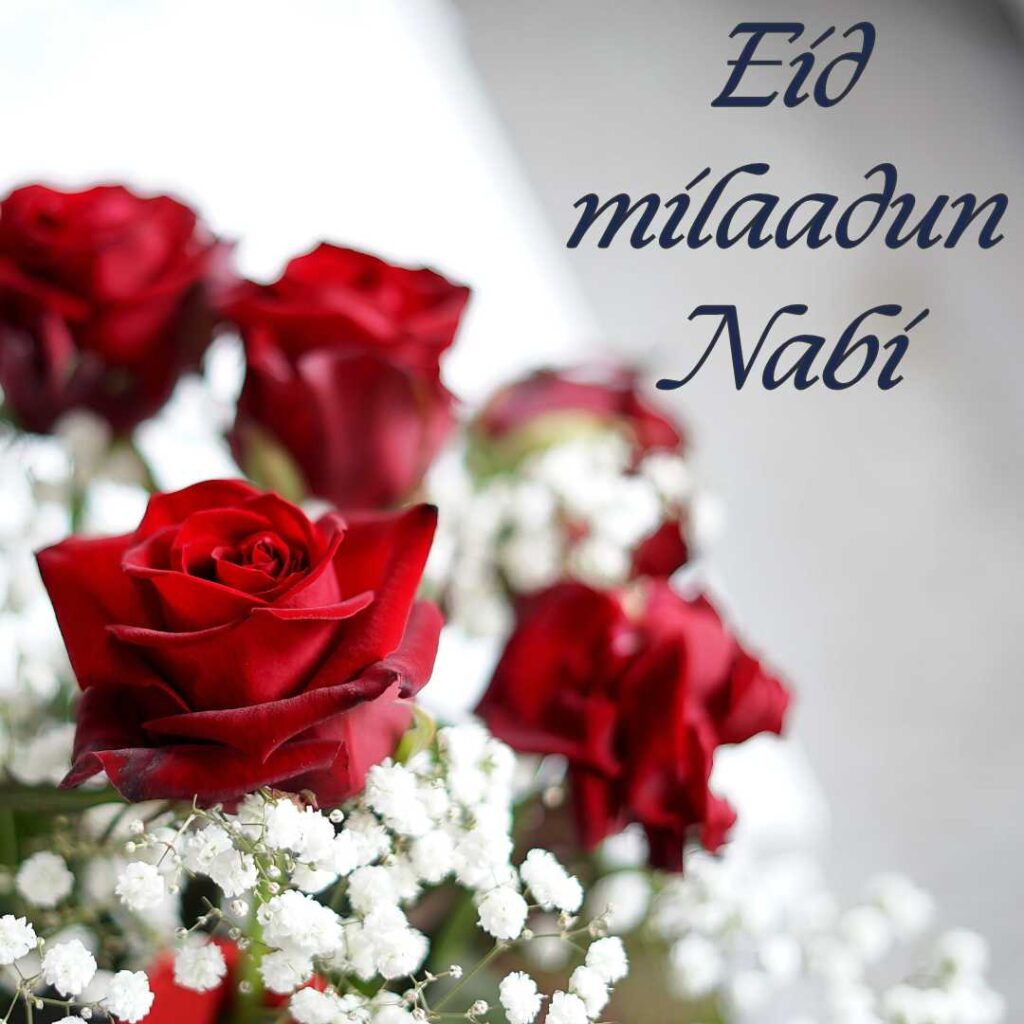 Eid-milad-ul-Nabi-Illustrating-the-joys-of-Eid-milad-ul-Nabi-through-the-prophet-favorite-flower-rose