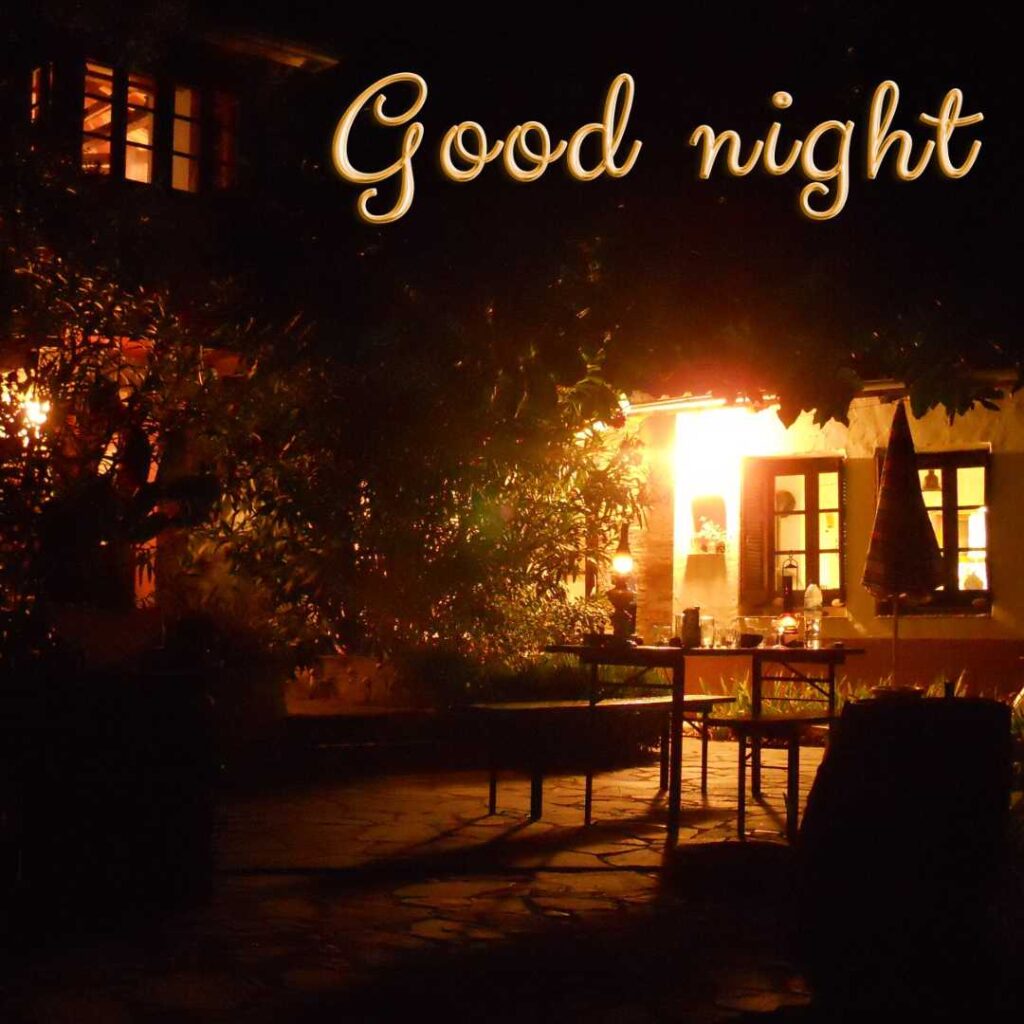 Good-Night-A-beautiful-house-full-of-flowers-appeared-in-night