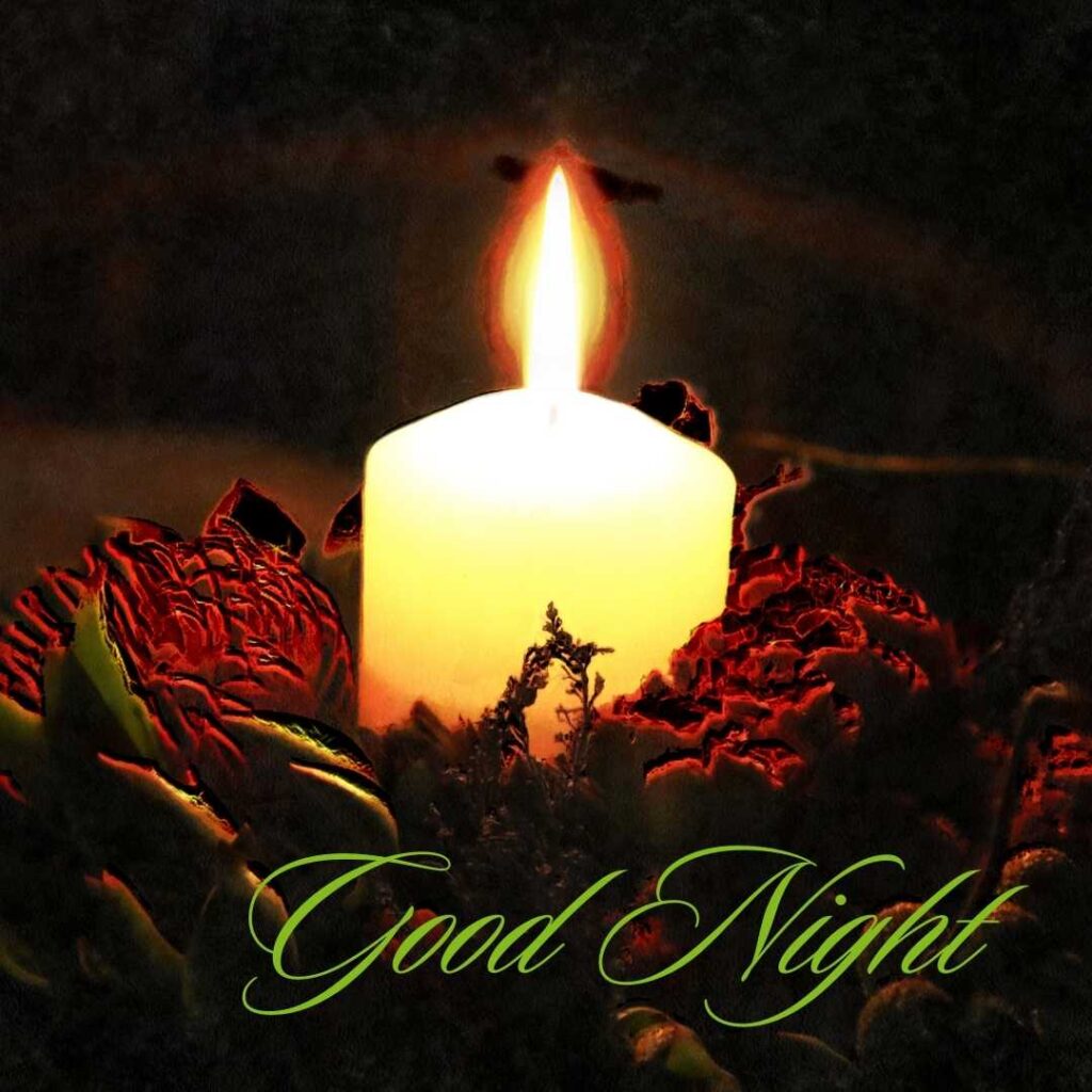 Good-Night-The-most-beautiful-candle-burning-in-red-flowers