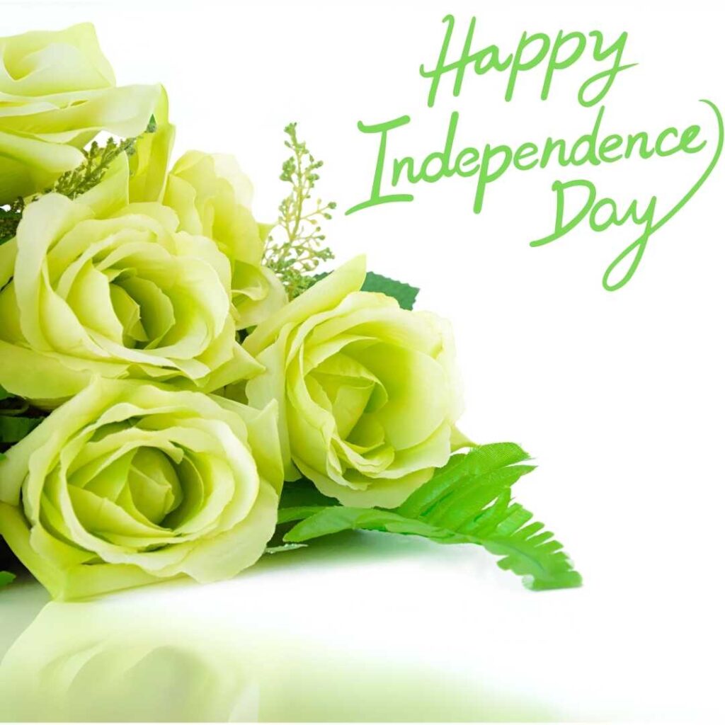 Happy-Independence-Day-Green-flowers-on-a-white-background-are-seen-as-greetings-of-Independence-Day