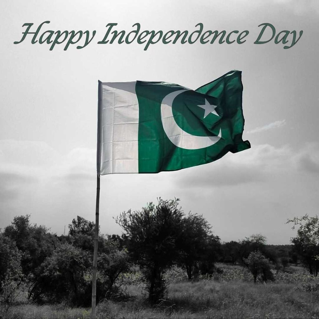 Happy-Independence-Day-The-flag-waving-in-the-open-air-makes-us-feel-our-freedom
