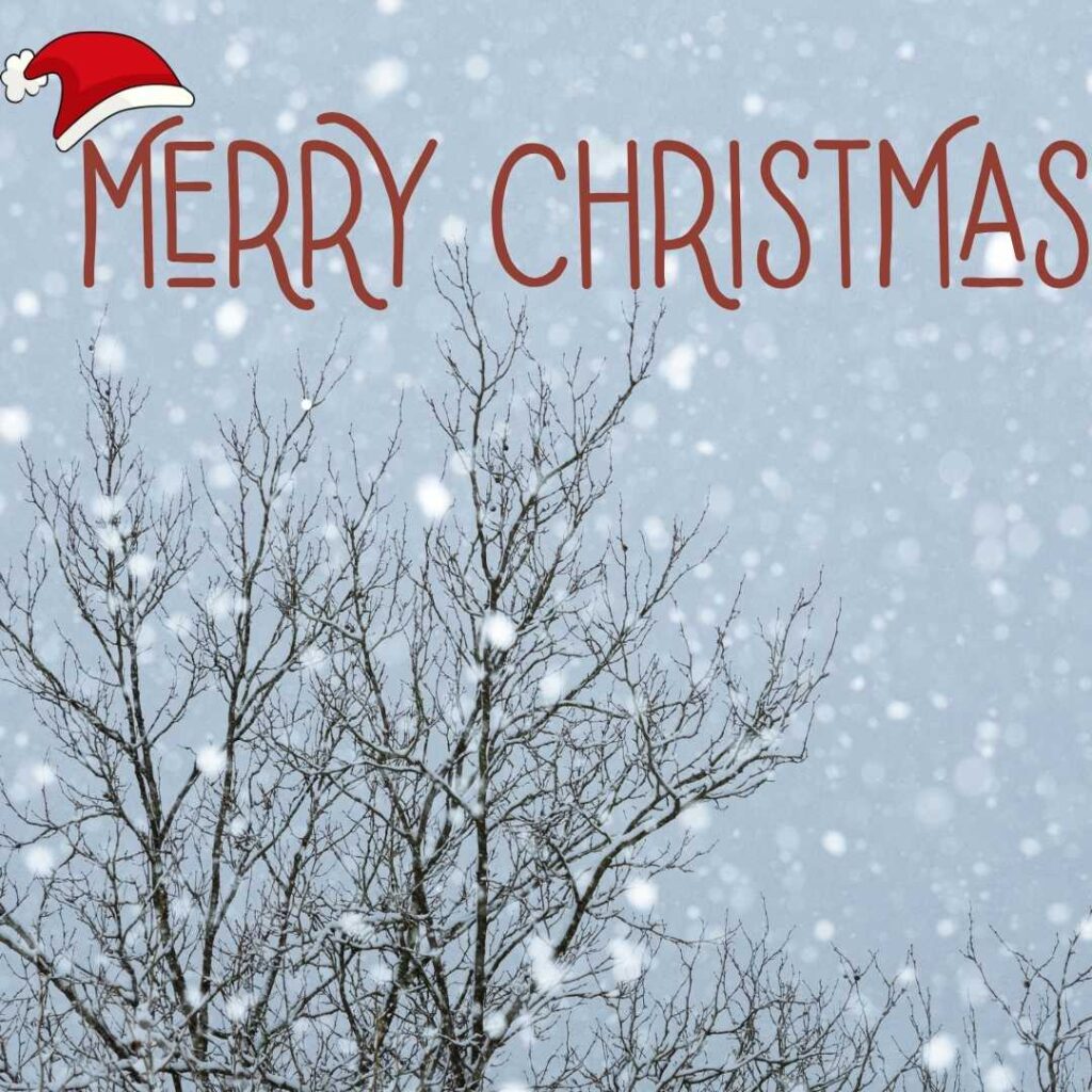 Merry-Christmas-The-snow-falling-on-the-branches-of-the-trees-looks-like-the-trees-are-decorated-in-anticipation-of-Christmas