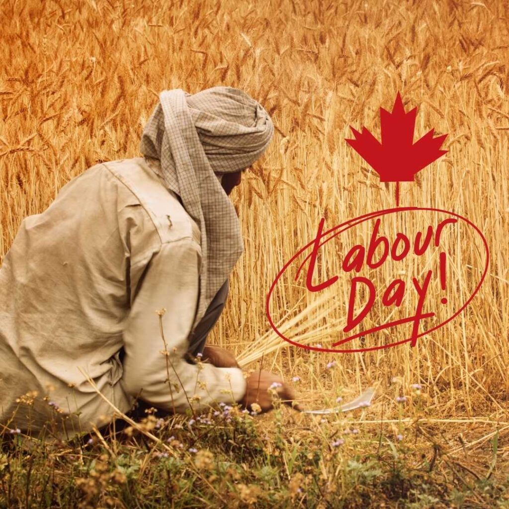 Happy-Labor-Day-The-farmer-seems-to-be-doing-his-work-diligently