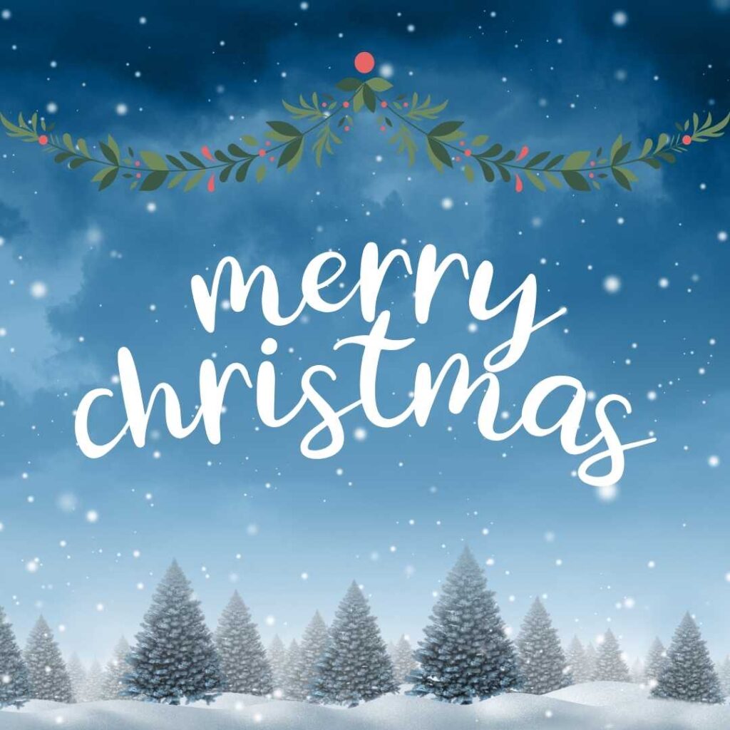 Merry-Christmas-Snowfall-on-Christmas-trees-makes-the-scene-even-more-beautiful